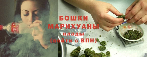 дживик Нягань