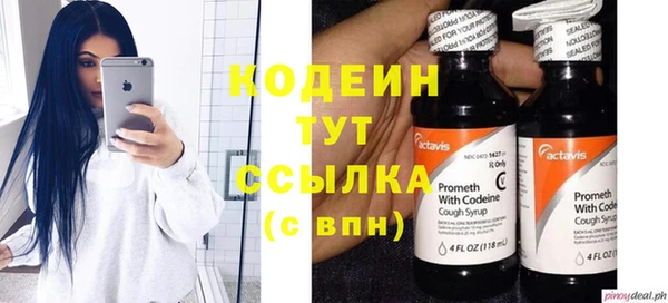 прущий лед Новозыбков
