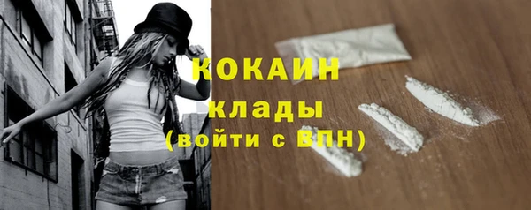 прущий лед Новозыбков