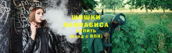 альфа пвп Новодвинск