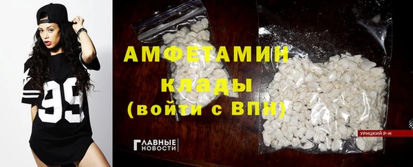 прущие грибы Нея
