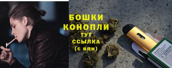 дживик Нягань