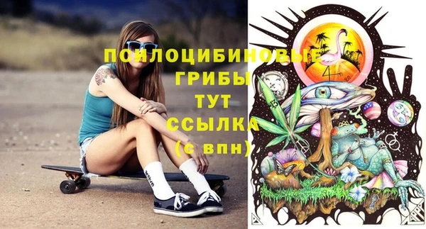 альфа пвп Новодвинск